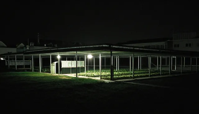小程序开发中的性能优化实践与维护建议