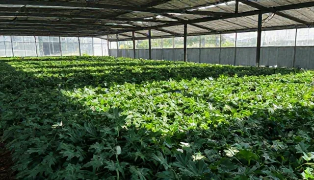 处理方法:常见问题应用场景分析